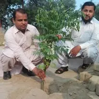 Green Seekers Activity